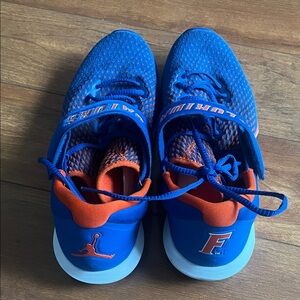 Florida Jordan Trainer 3 Shoes